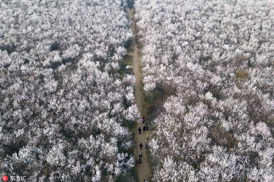 電影跟蹤追擊