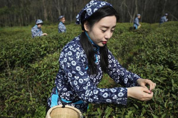 愛(ài)的精靈在線觀看