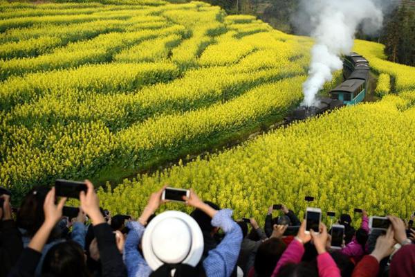 企業(yè)戰(zhàn)士動漫