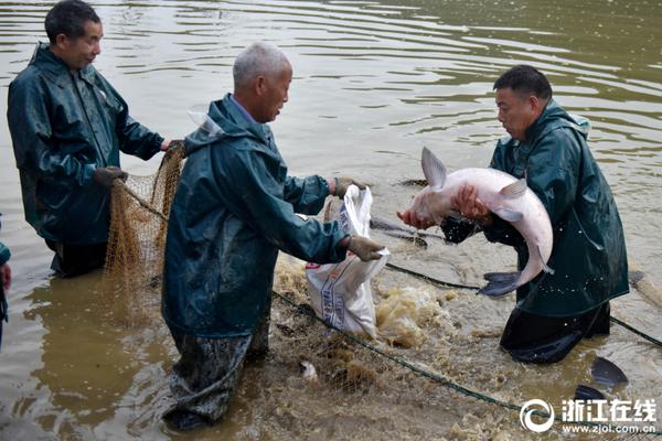 羅曼蒂克消亡史完整版