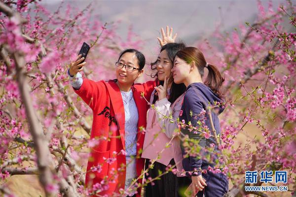 電視劇東陵大盜