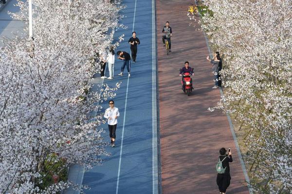 野花韓國大全免費看8