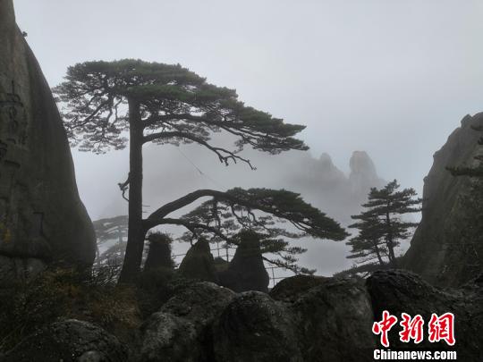  大話西游電視劇