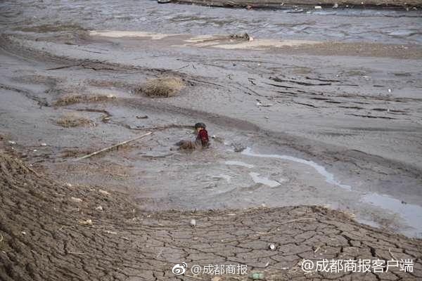 喜羊羊與灰太狼之羊村守護(hù)者4