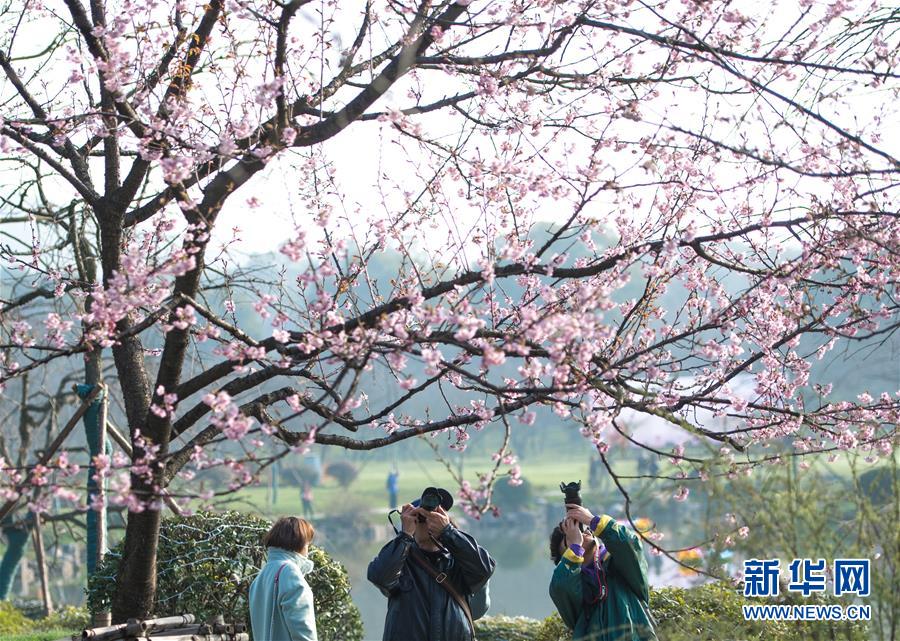 外來媳婦本地郎第三部