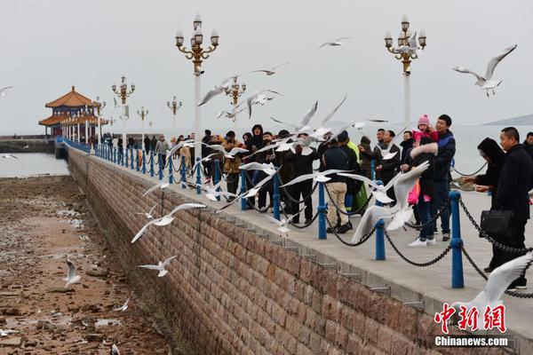  火鳳凰電視劇