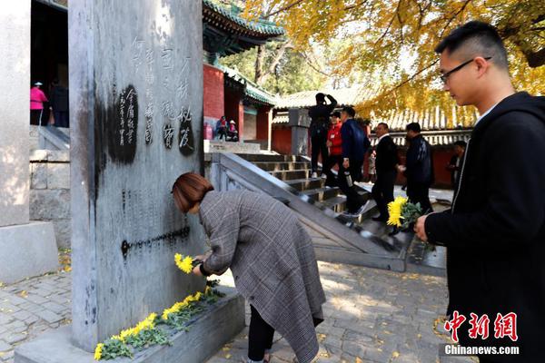 電視劇瞄準(zhǔn)全集免費(fèi)觀看