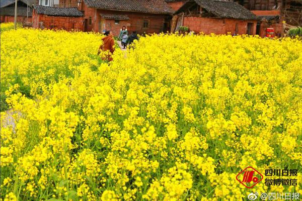 秦時(shí)明月5君臨天下