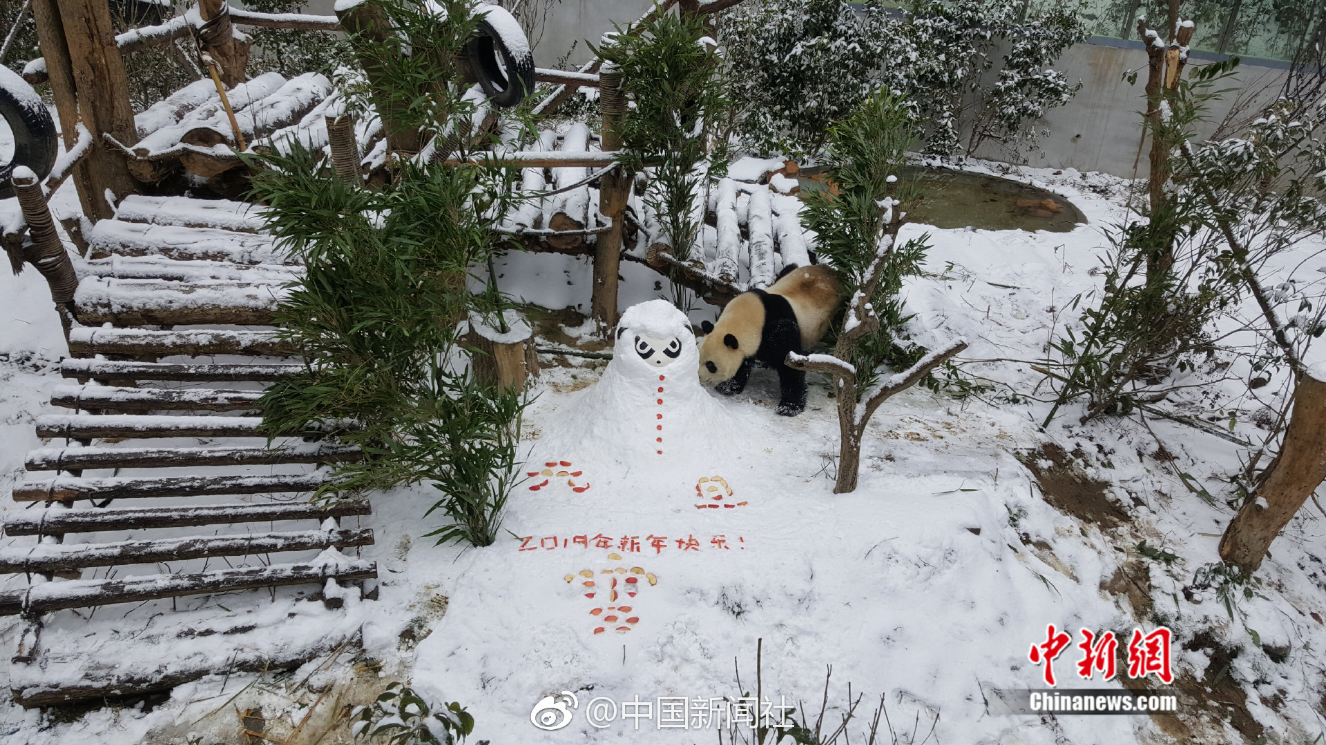 兒子的妻子中字頭我是爸爸的女人