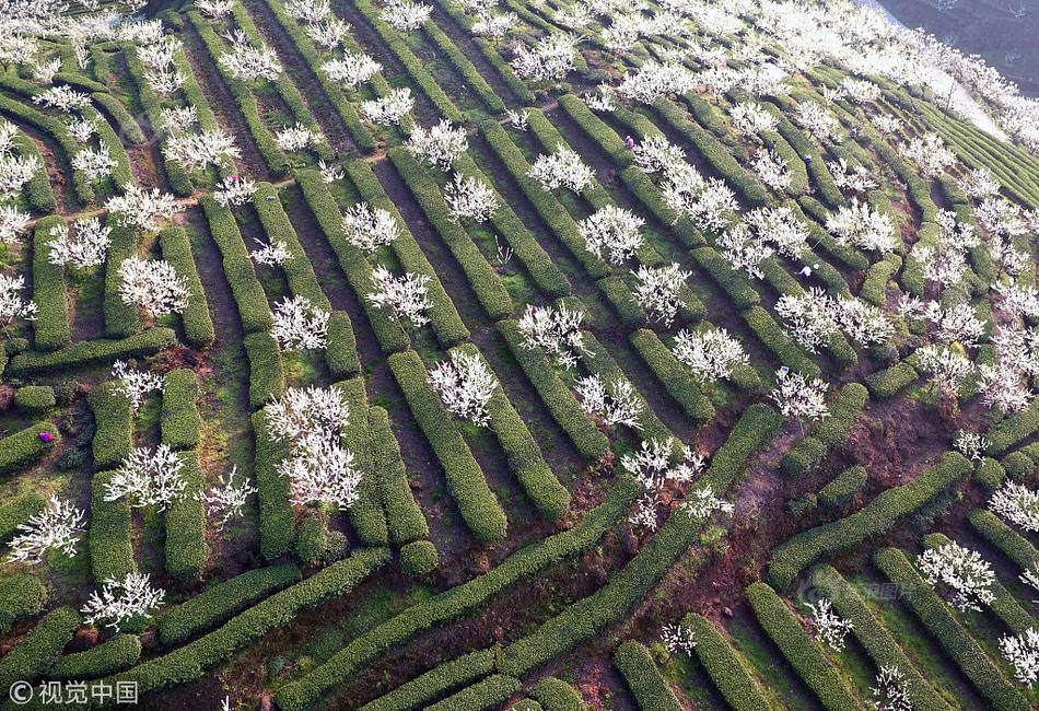 陳德森