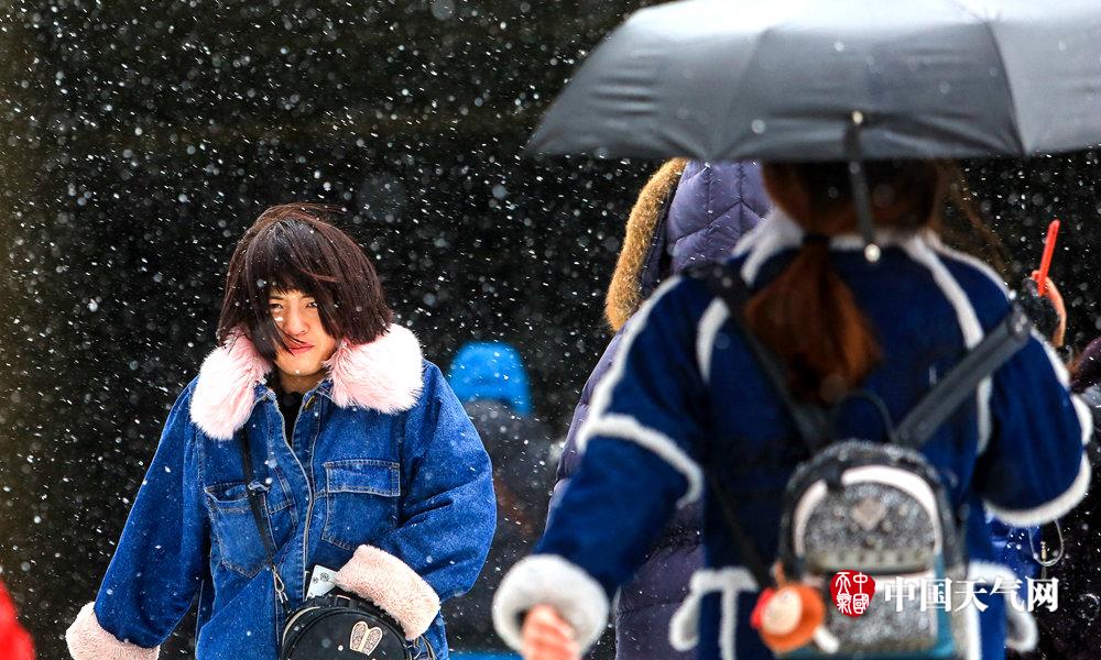  東京女子圖鑒