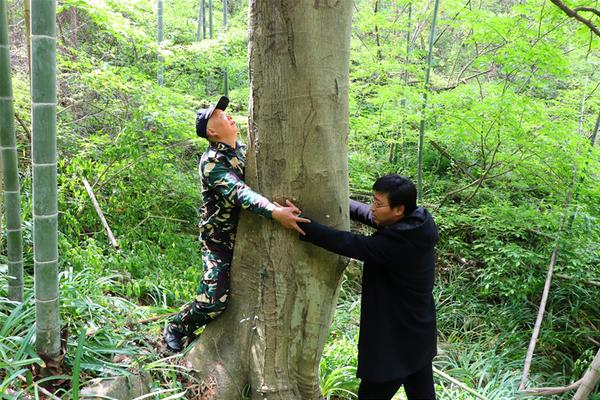 蒼蘭訣在線觀看完整免費版