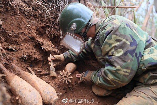  野獸們的戰(zhàn)爭(zhēng)