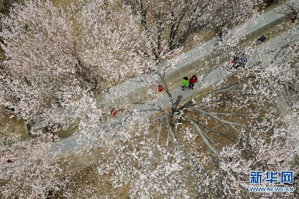 烏云遇皎月電視劇免費(fèi)觀看