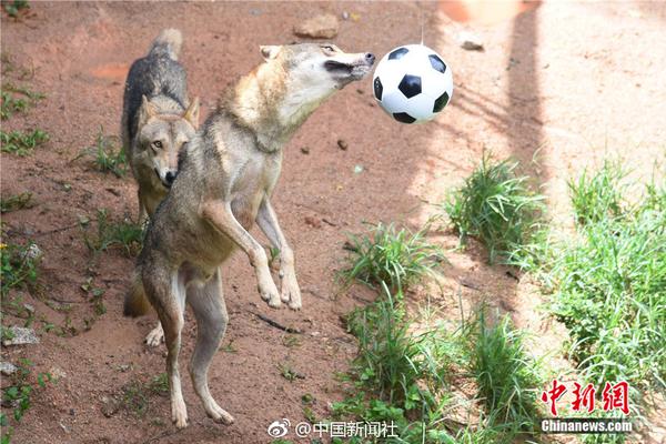 全能奶爸不好惹短劇