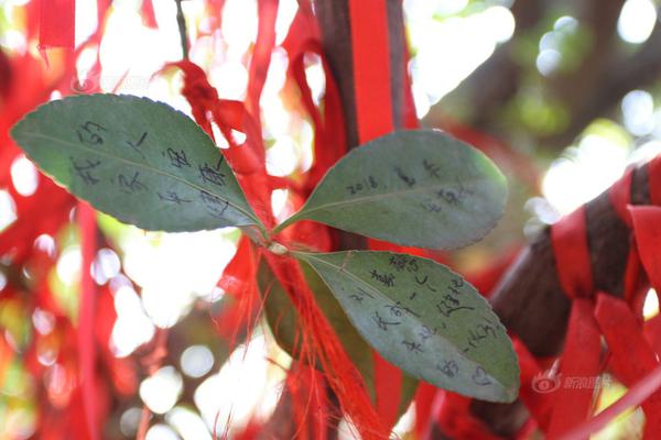 脆莓公園第二季