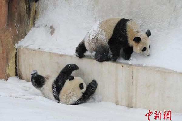  公車上雪柔被猛烈進(jìn)出