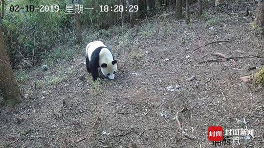 格里高利·霍布里特