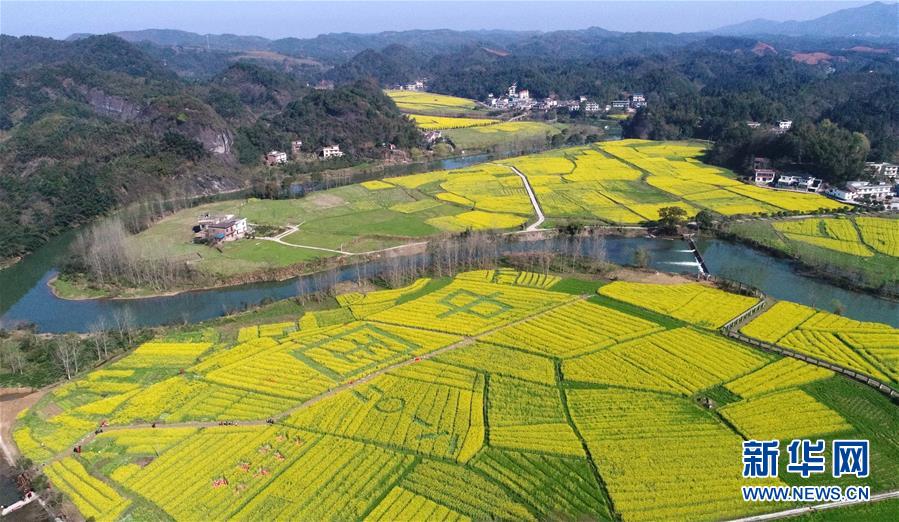 新烏龍山剿匪記