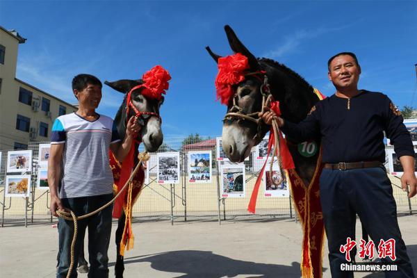  我在八十年代當(dāng)后媽電視劇免費(fèi)觀看