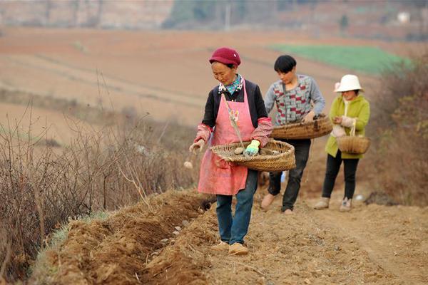 倩女幽魂人間道