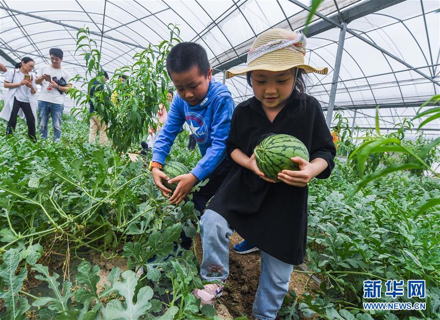  砂糖的幸福生活