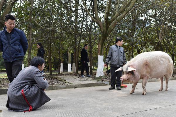 馬克·拉索