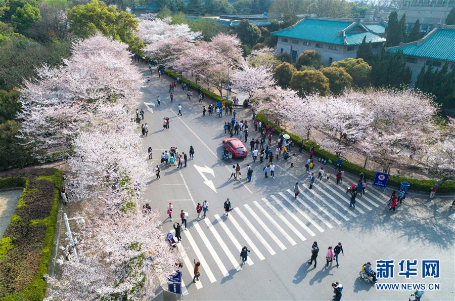  鬼話怪談之祥云寺