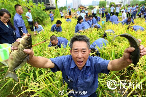 亞馬遜的眼淚