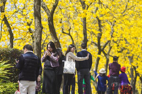 回到愛開始的地方