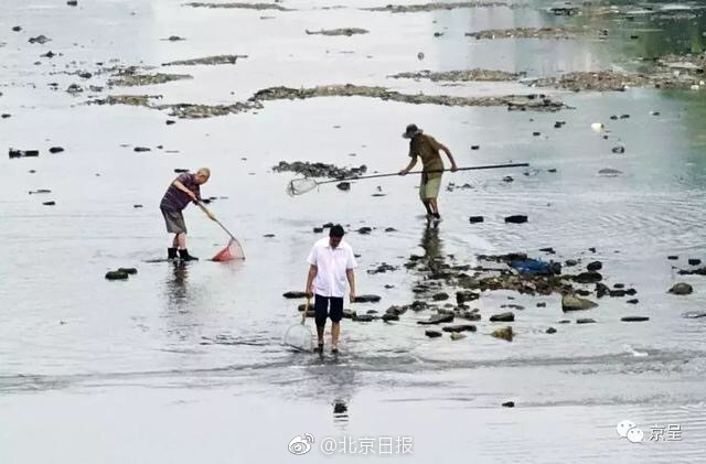  民國(guó)奇探在線觀看免費(fèi)高清完整版