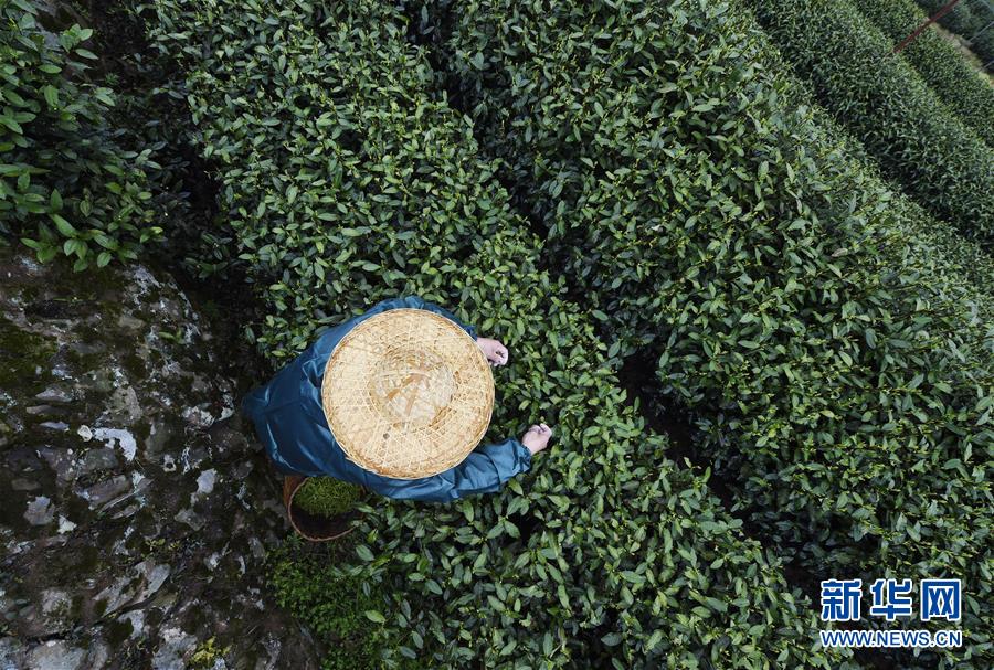  荒野女婿電影免費(fèi)觀看高清