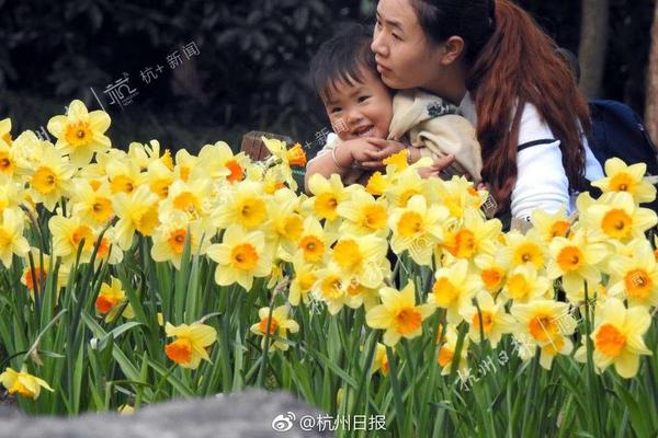  瑯琊榜迅雷下載