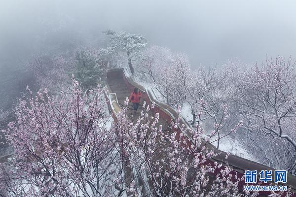 米開朗基羅·安東尼奧尼