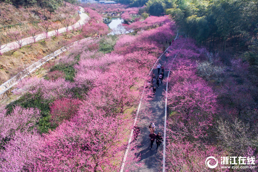 黃祖權(quán)