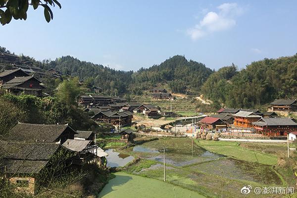 法證先鋒6國語版免費完整版高清