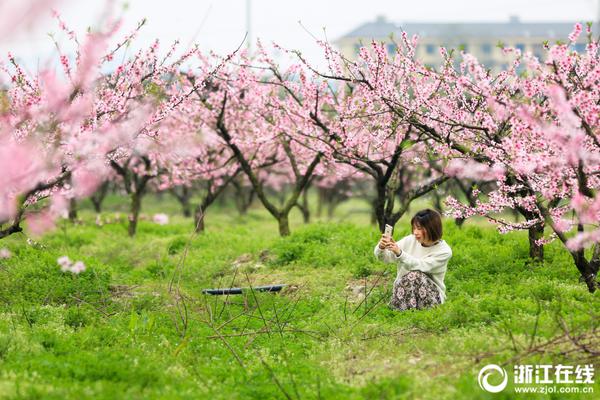 阿爾弗雷德·希區(qū)柯克