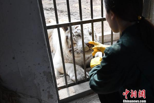  聲色犬馬在線觀看