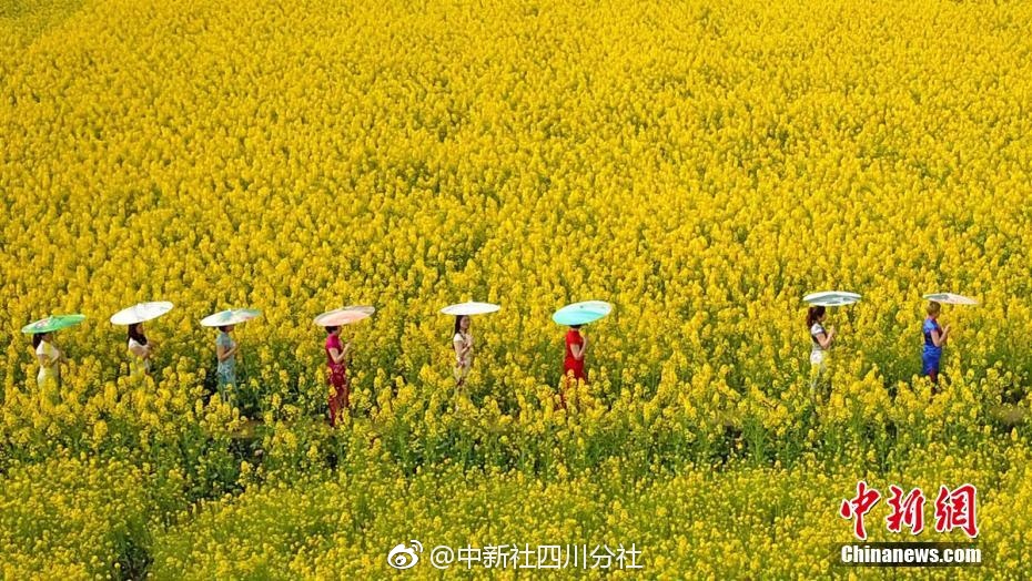 一起又看流星雨