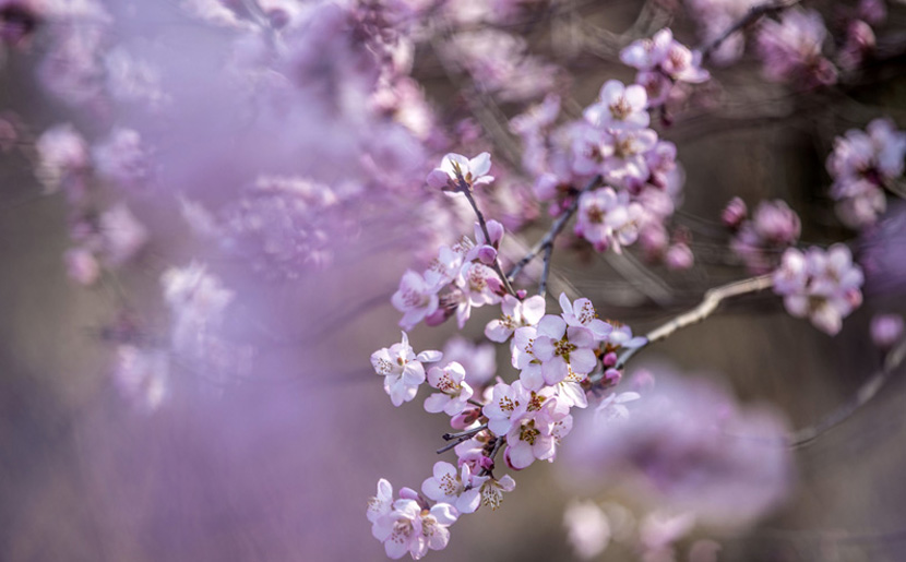 格里高利·霍布里特