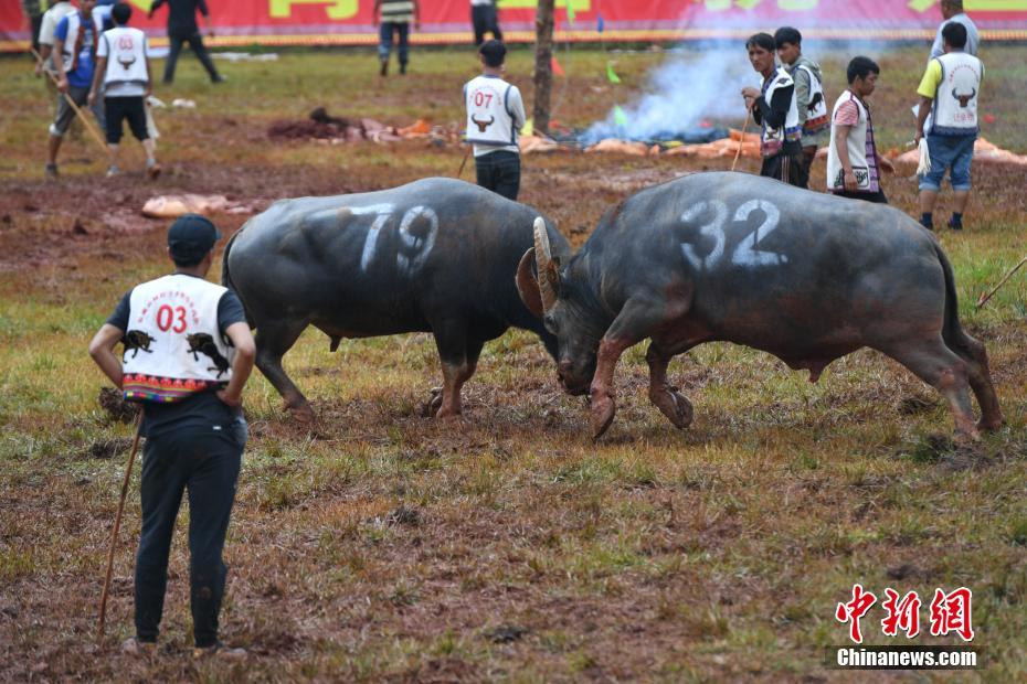 生死之戰(zhàn)