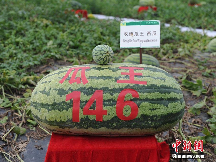 飄飄美術(shù)館