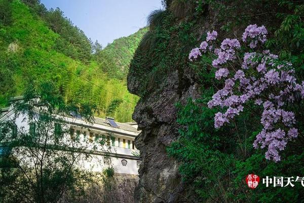 生化危機(jī)啟示錄