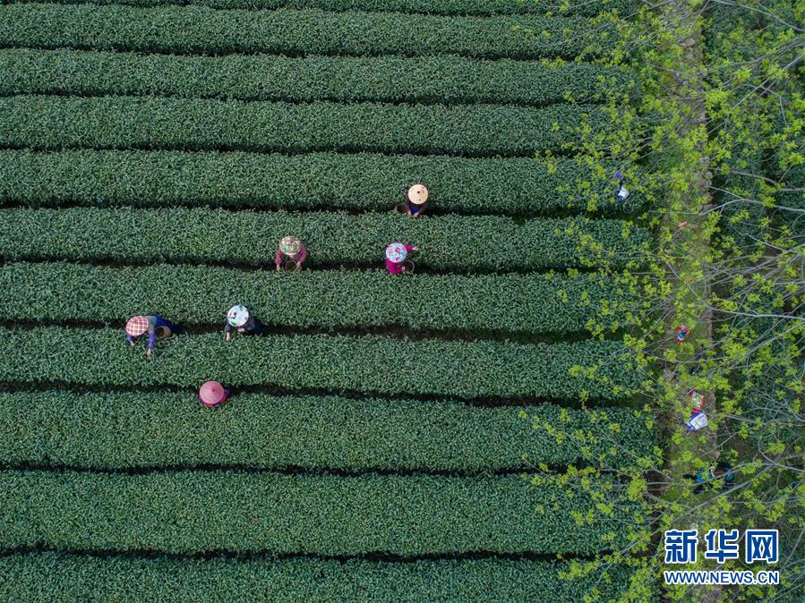 飆風(fēng)戰(zhàn)警