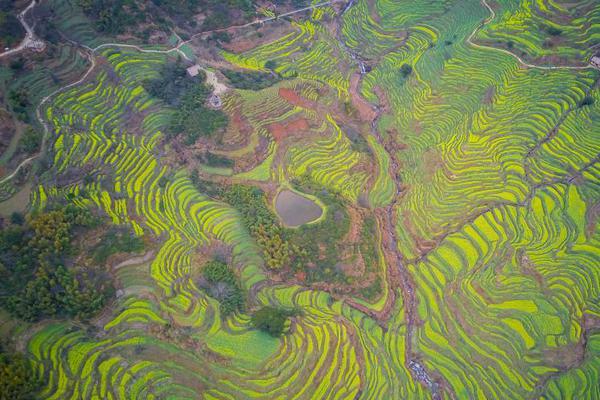  情牽百子柜