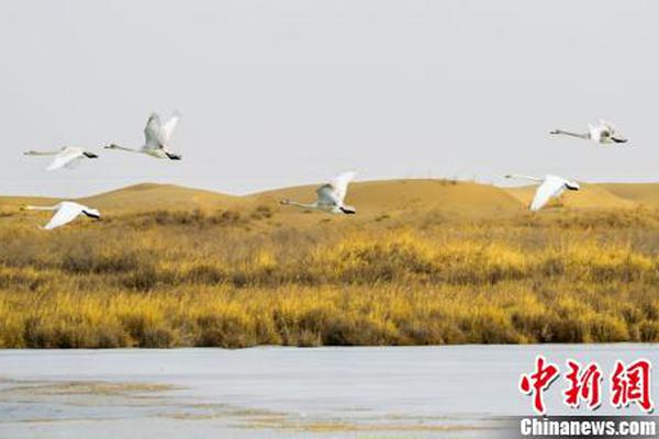 鳴梁海戰(zhàn) 電影