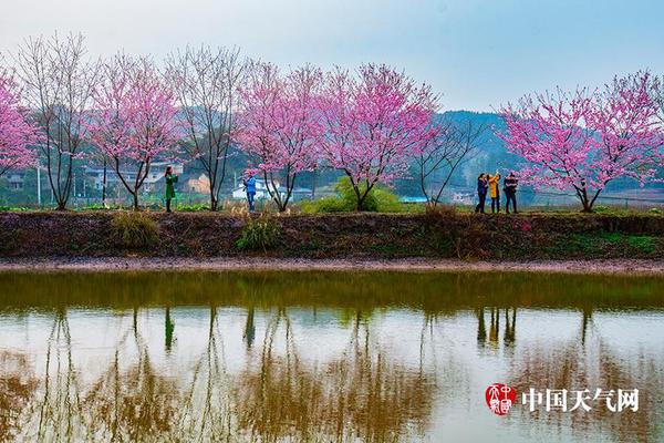 落花時(shí)節(jié) 電視劇