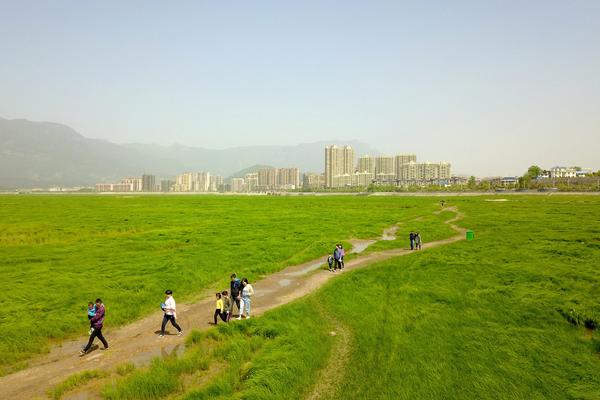  熊出沒動畫片