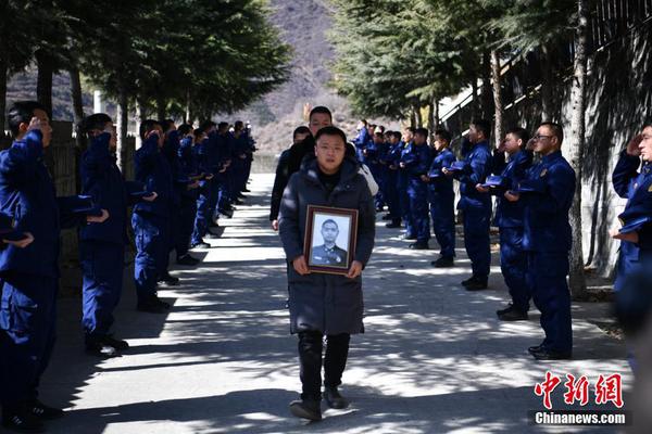 這個(gè)殺手不太冷靜演員表