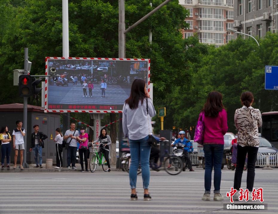 小灰灰上學記